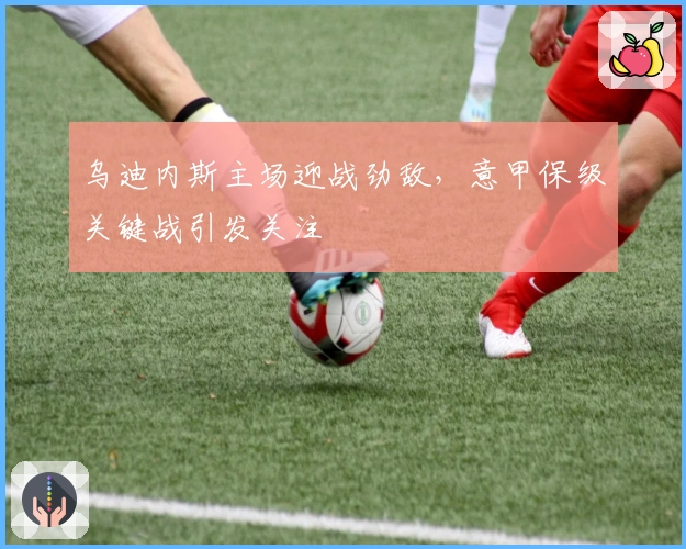 乌迪内斯主场迎战劲敌,意甲保级关键战引发关注