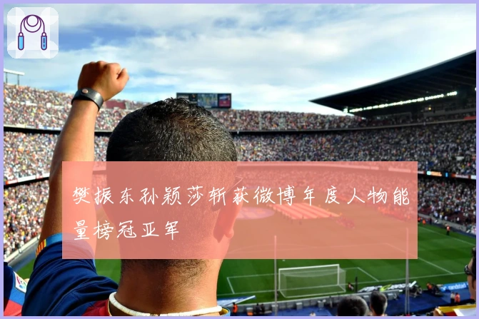 樊振东孙颖莎斩获微博年度人物能量榜冠亚军