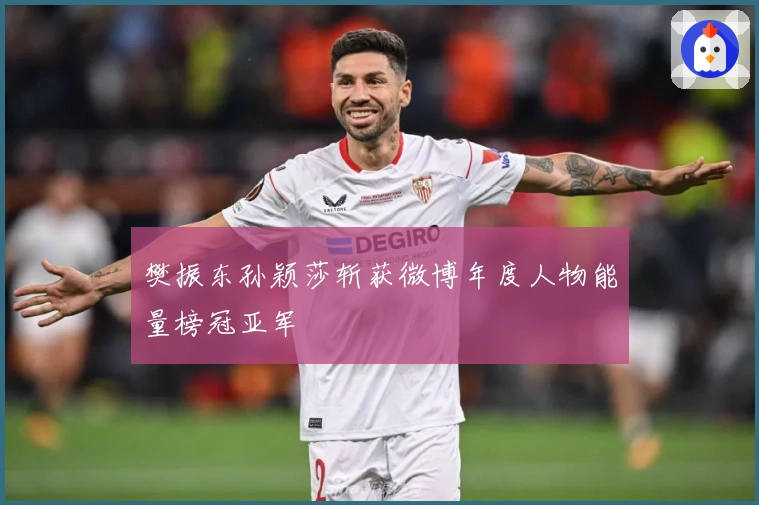 樊振东孙颖莎斩获微博年度人物能量榜冠亚军